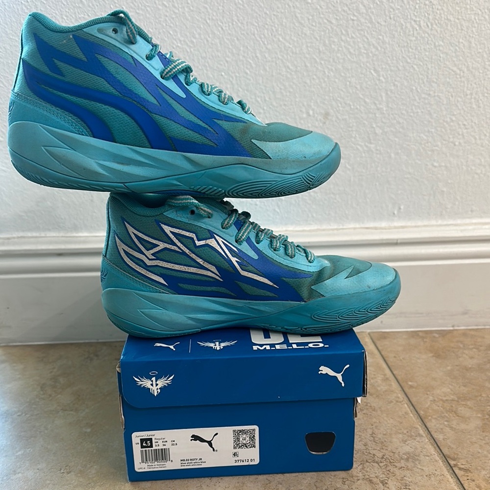 Puma MB.02 Roty